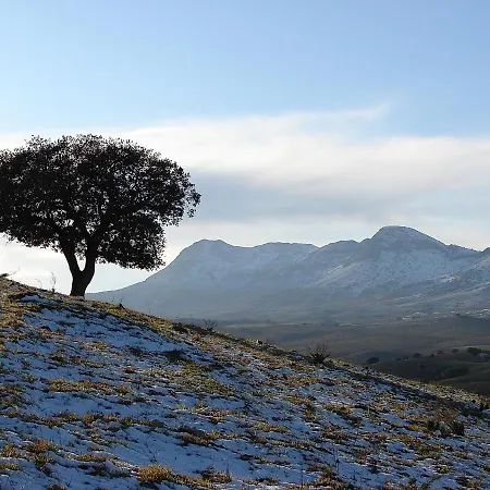 Cortijo Leontino *